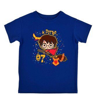 Футболка Harry Potter гари на метле 100399 фото
